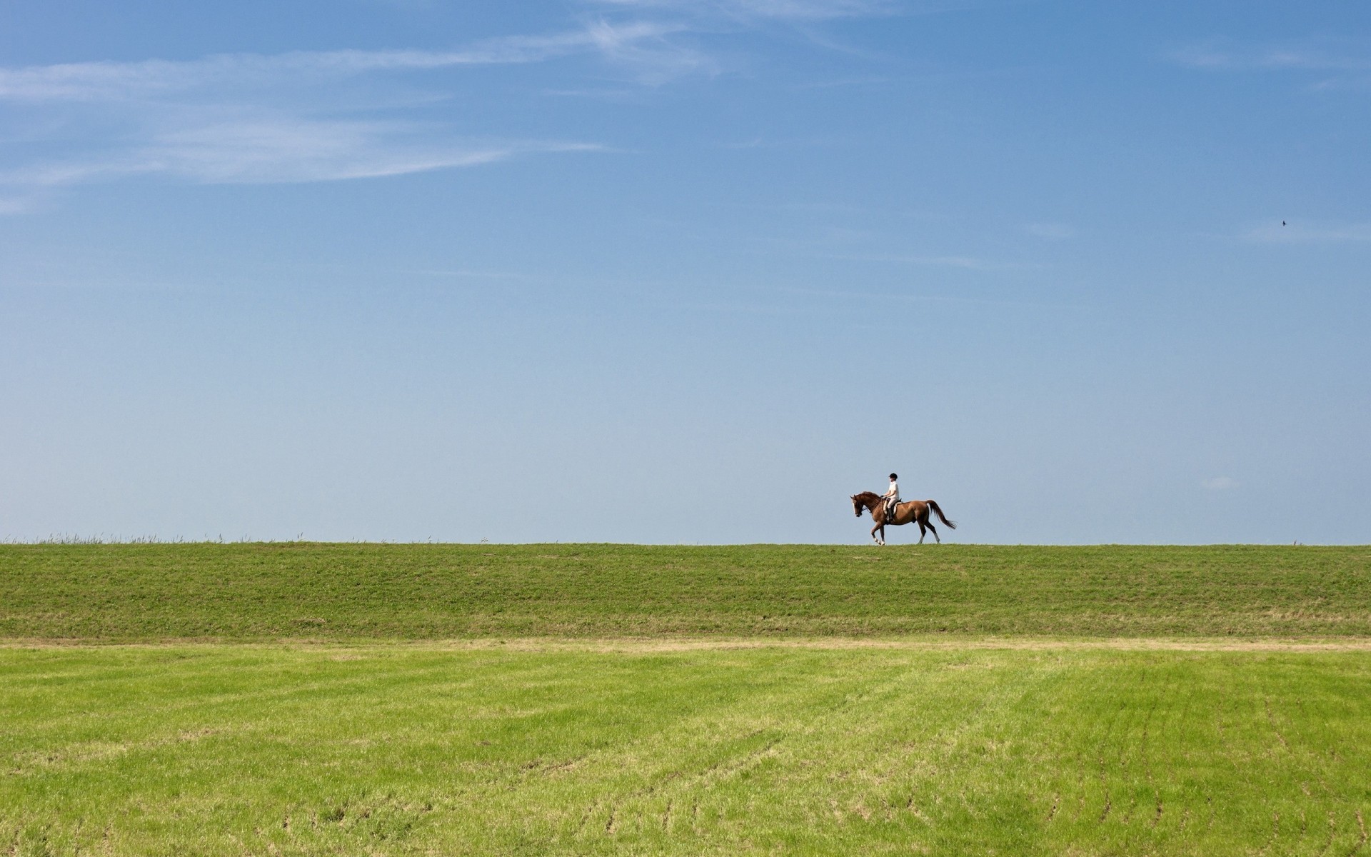 campo cielo jinete