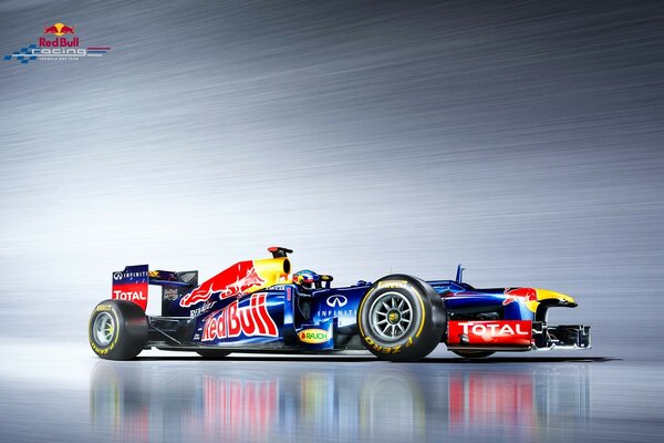 Voiture de sport Sebastian Vettel