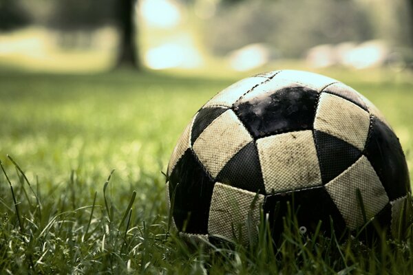 Der Ball ist schwarz und weiß auf dem grünen Feld