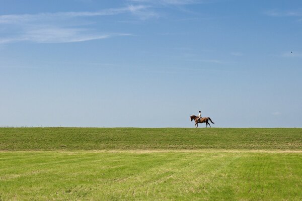 Reiter am Ende auf einem Pferd im Feld