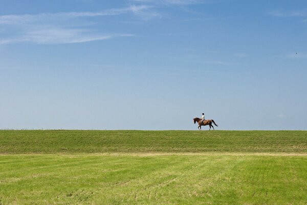 The rider at the end on a horse in the field