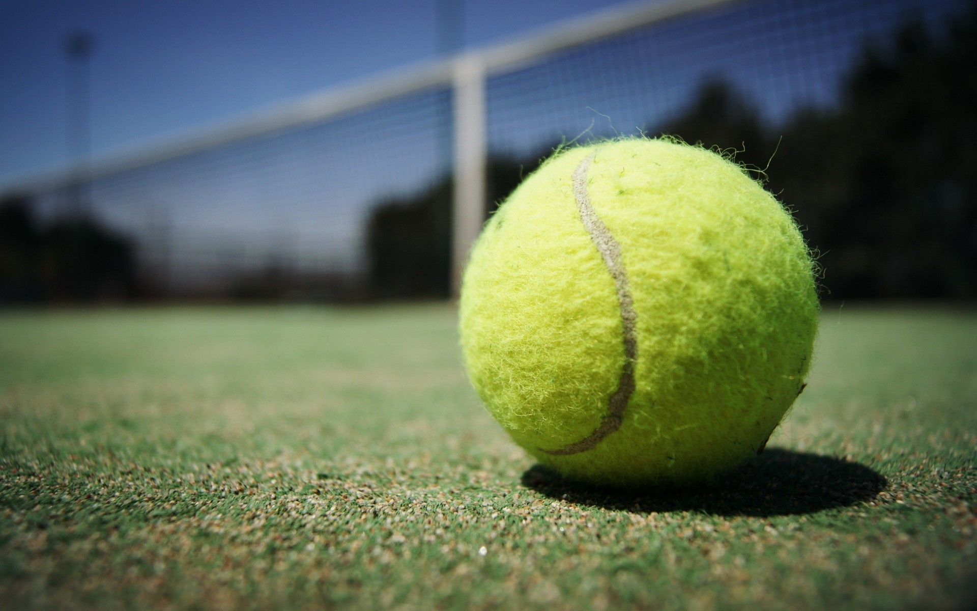 makro court ball sport