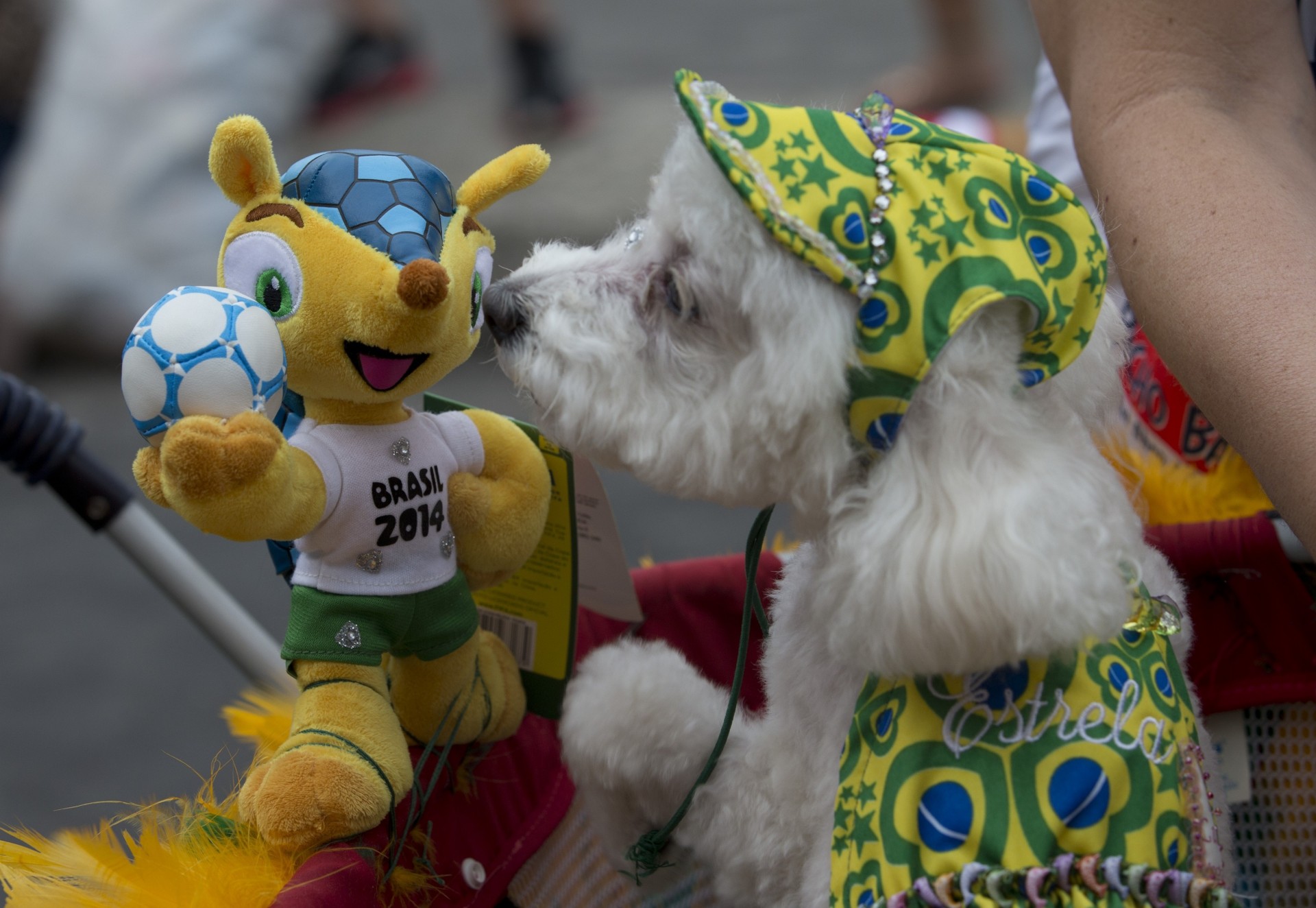 mistrzostwa świata 2014 maskotka piłka nożna brazylia