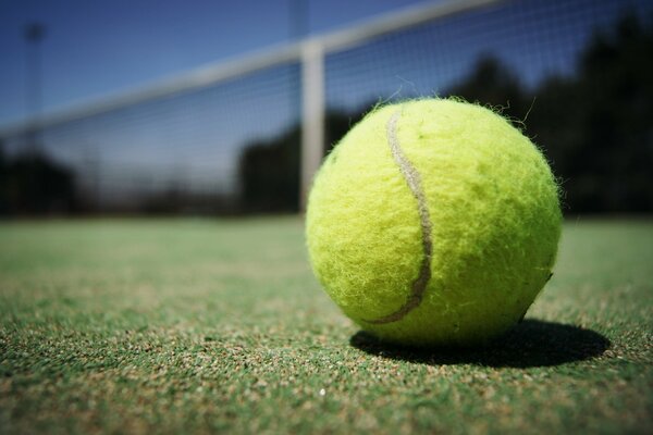 Macro shooting of a tennis ball on the court