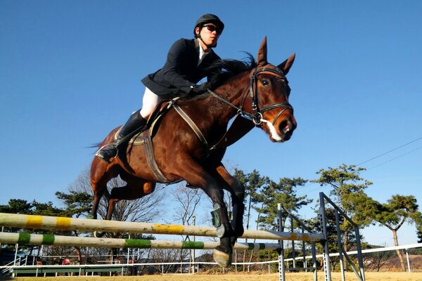 Sports équestres à travers les obstacles