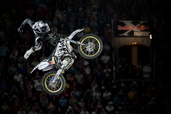 Grafica racer di x-games