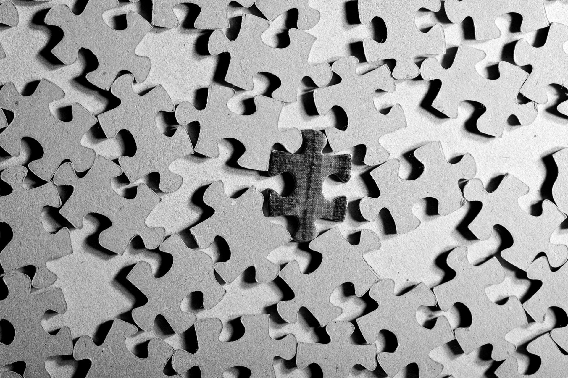 life black and white puzzle