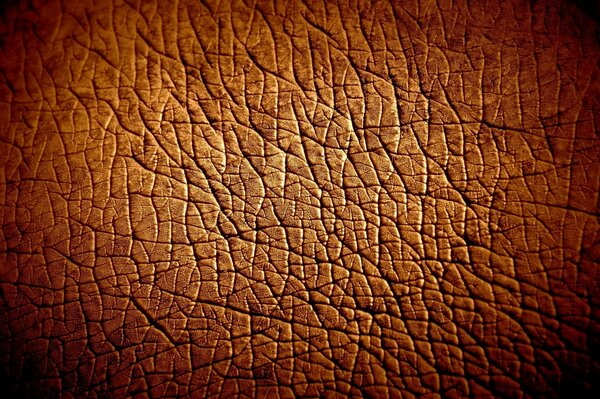 Matériau brun semblable à la peau d un hippopotame