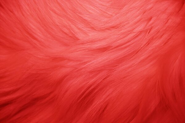 Coral- red fur wallpaper