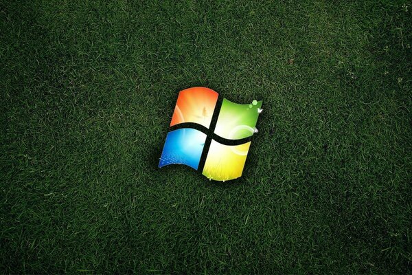 Windows-Emblem auf grünem Gras