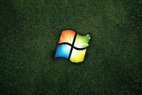 Emblema di Windows su erba verde