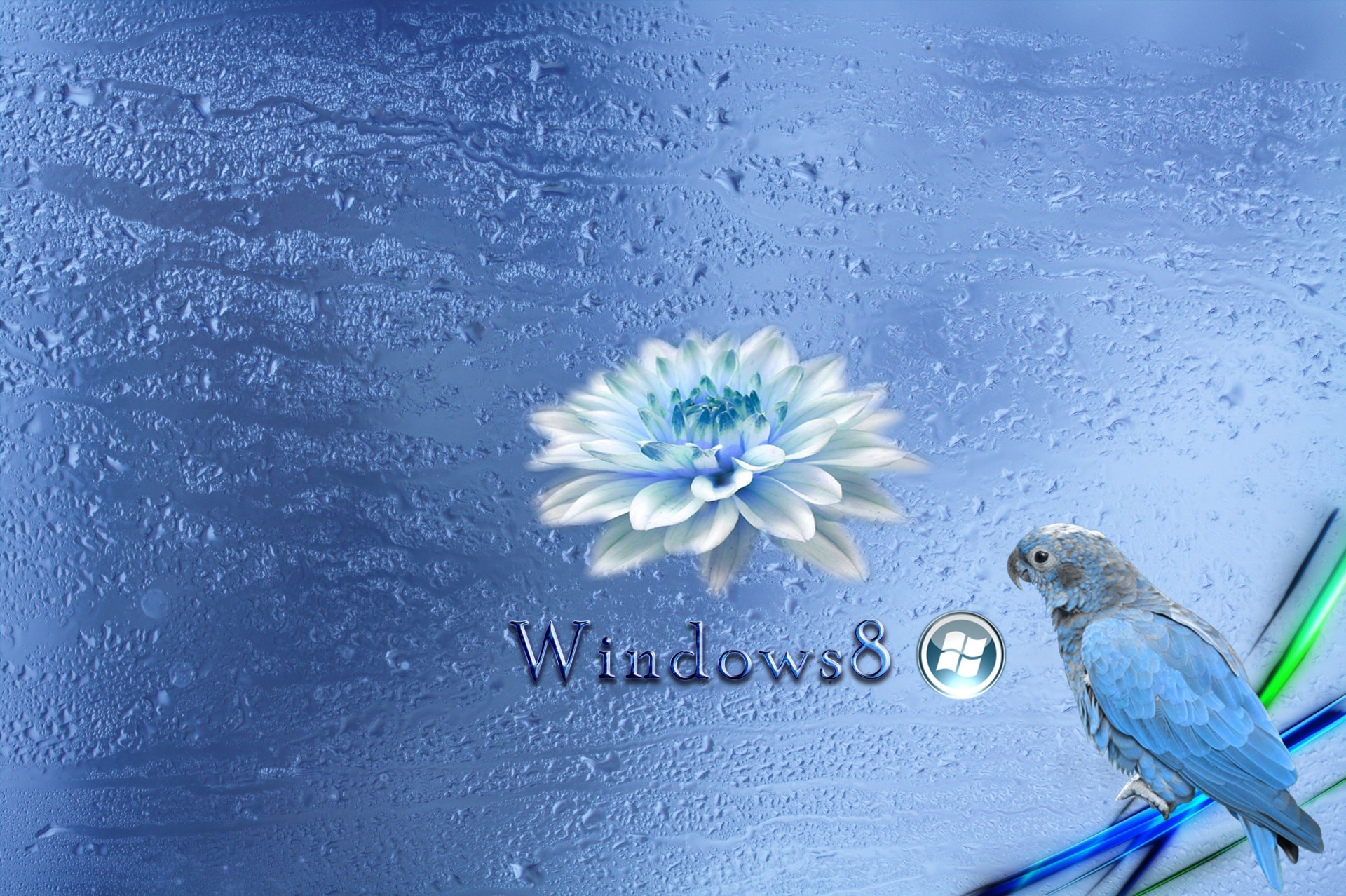 blau windows 8