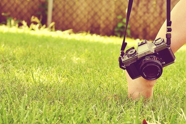 Camera on the green grass