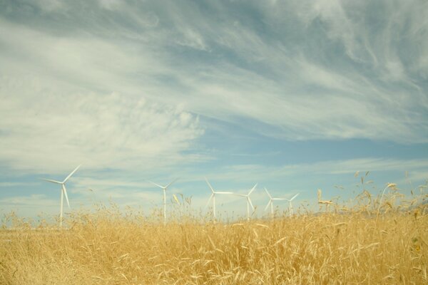 The airy serenity of green energy