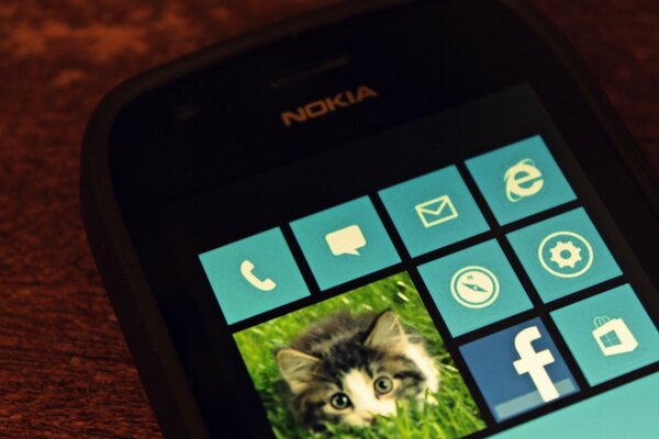 Nokia phone screen with a kitten in a square
