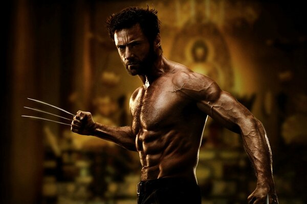 A muscular wolverine with claws extended