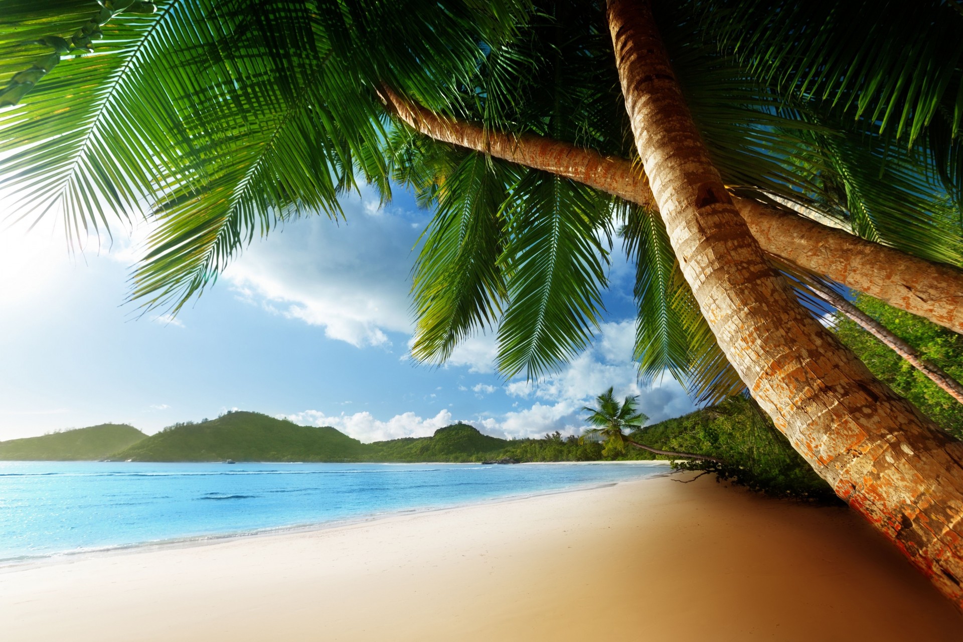 tropical playa costa mar australia océano verano
