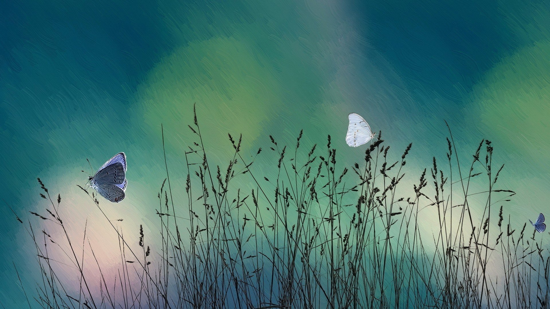painting butterfly background gra