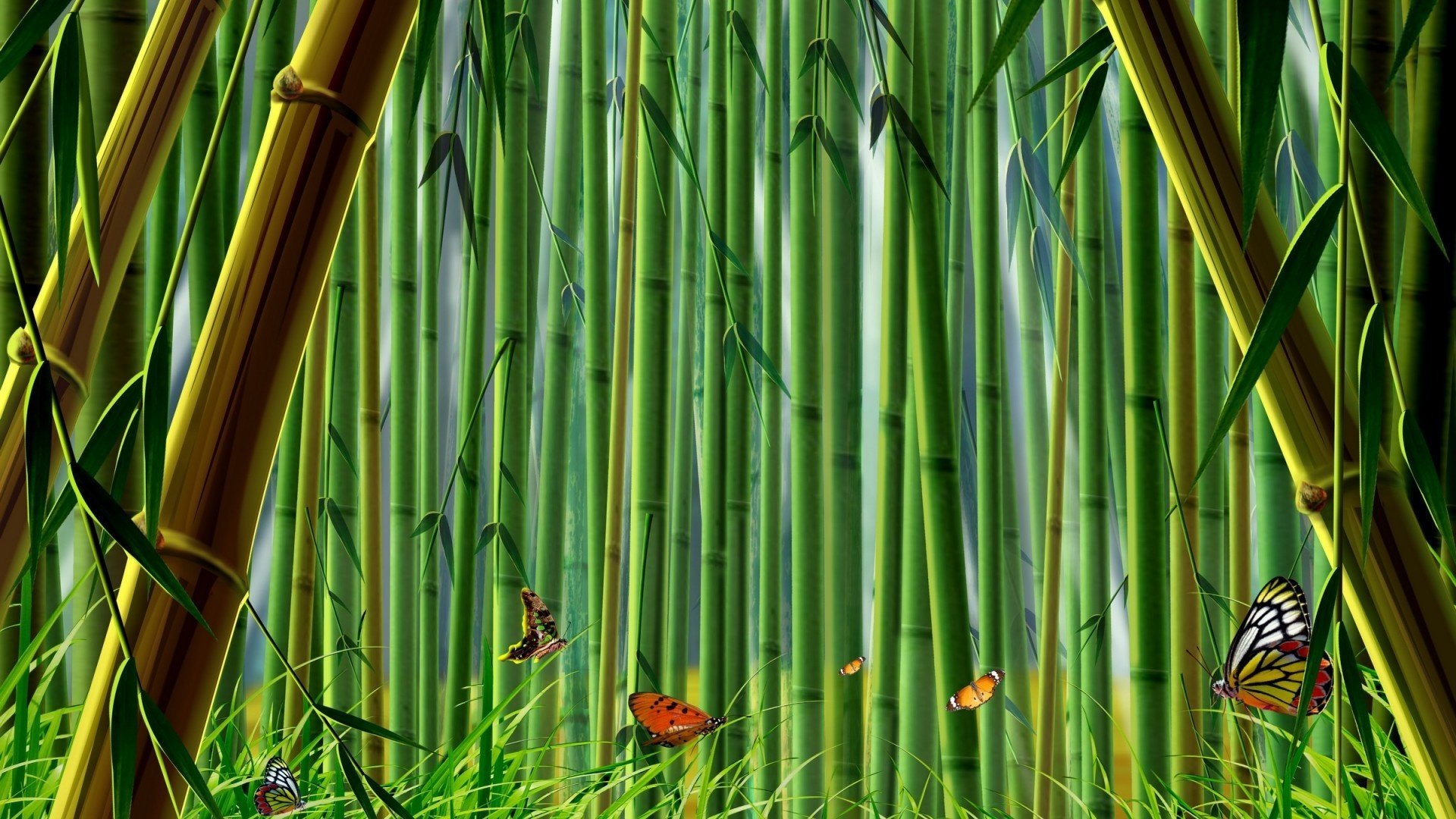 bambou papillons graphique vert