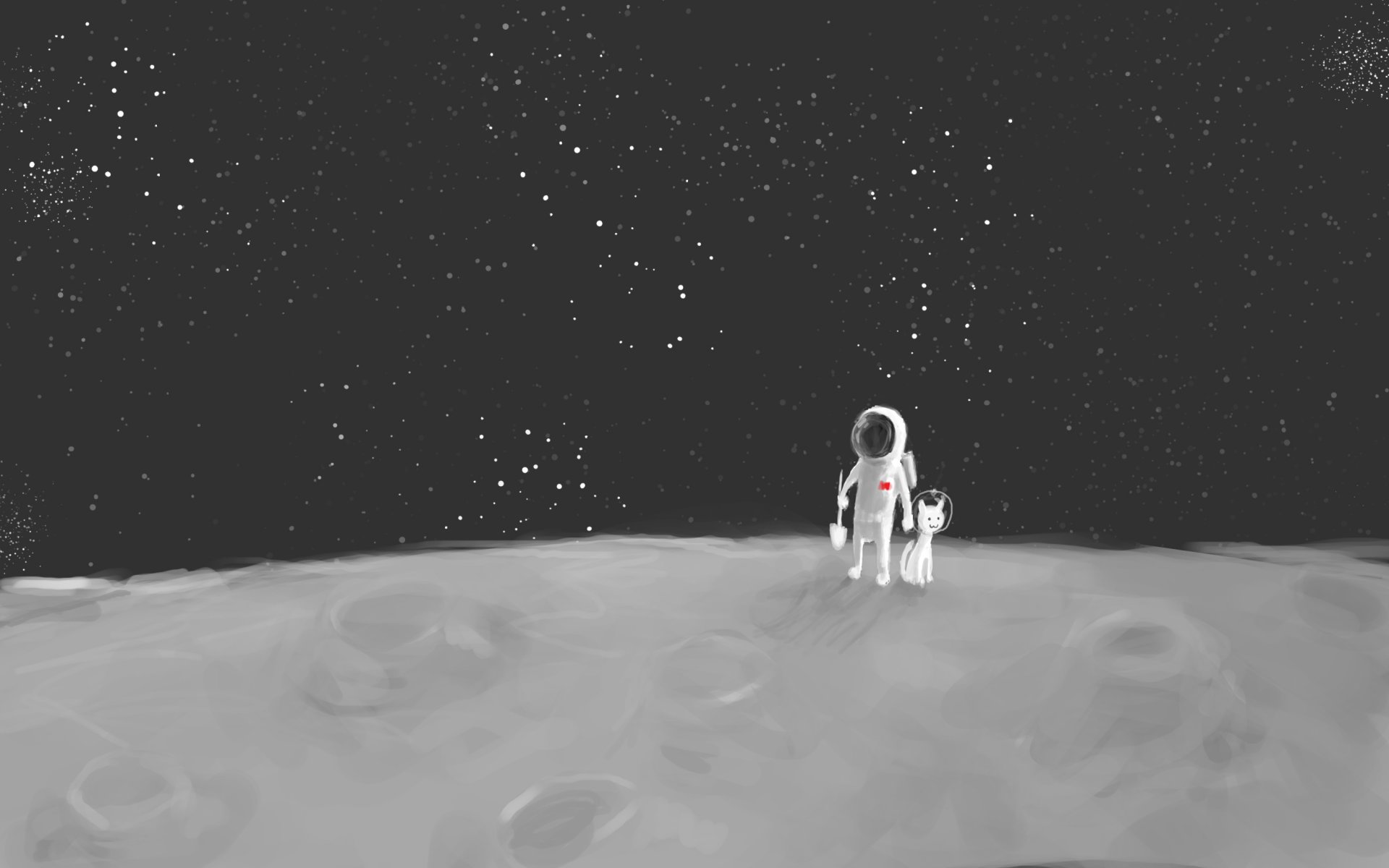 lune astronaute pelle chat