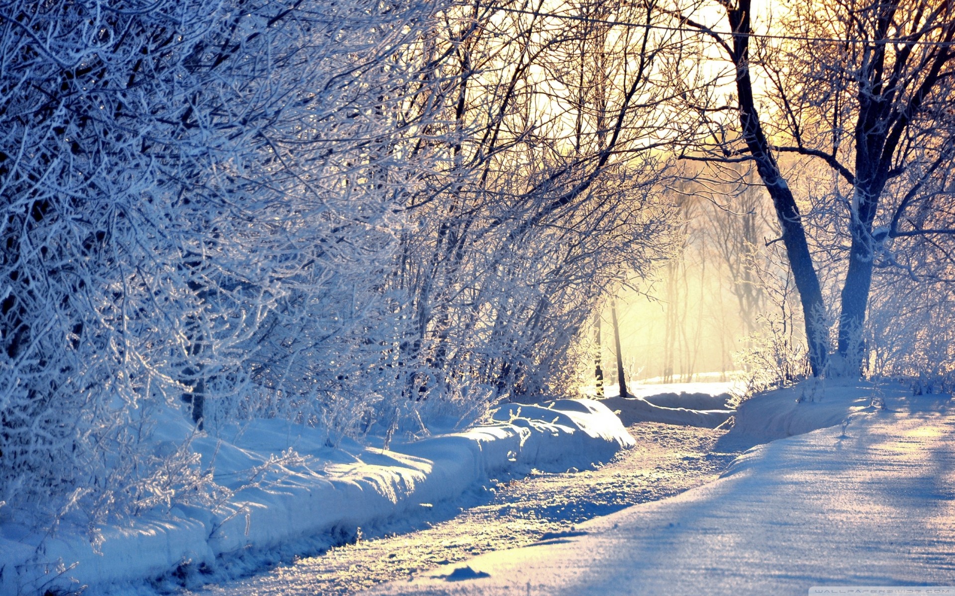 licht winter morgen