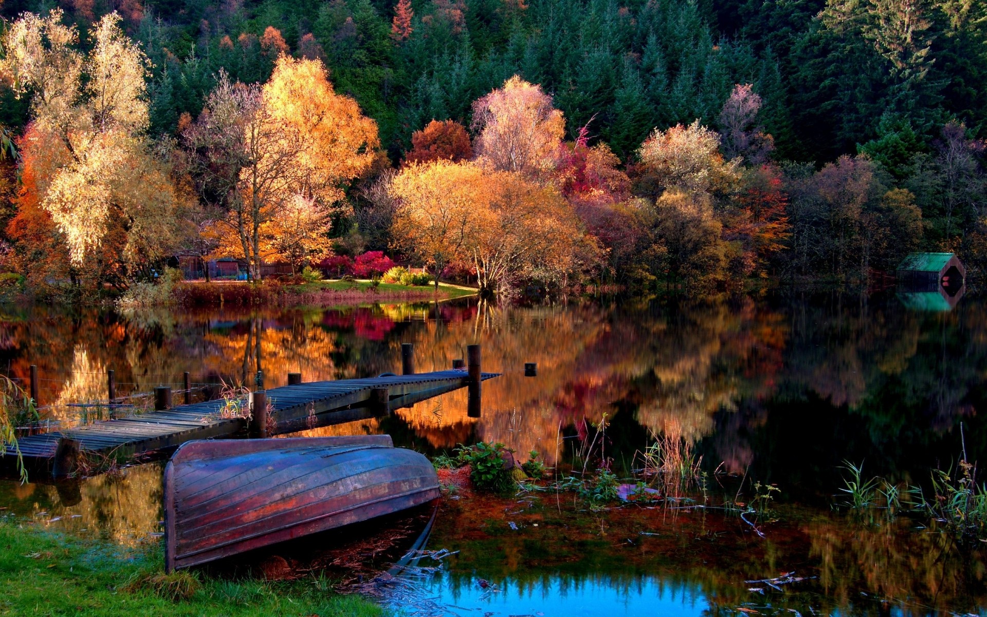 costa fondo reflexión colores árboles bosque superficie brillante lago otoño luz barco