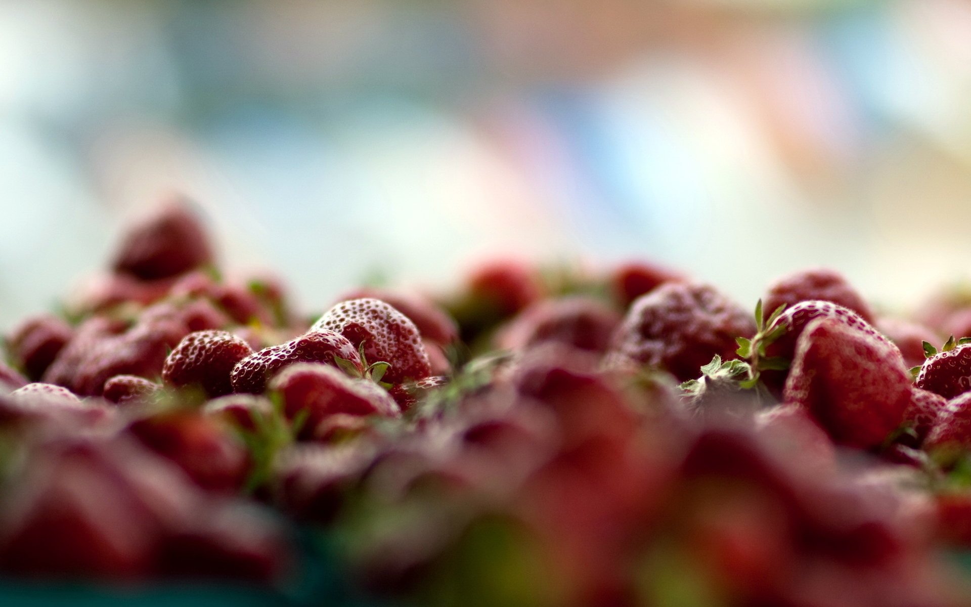 fragole bacche macro