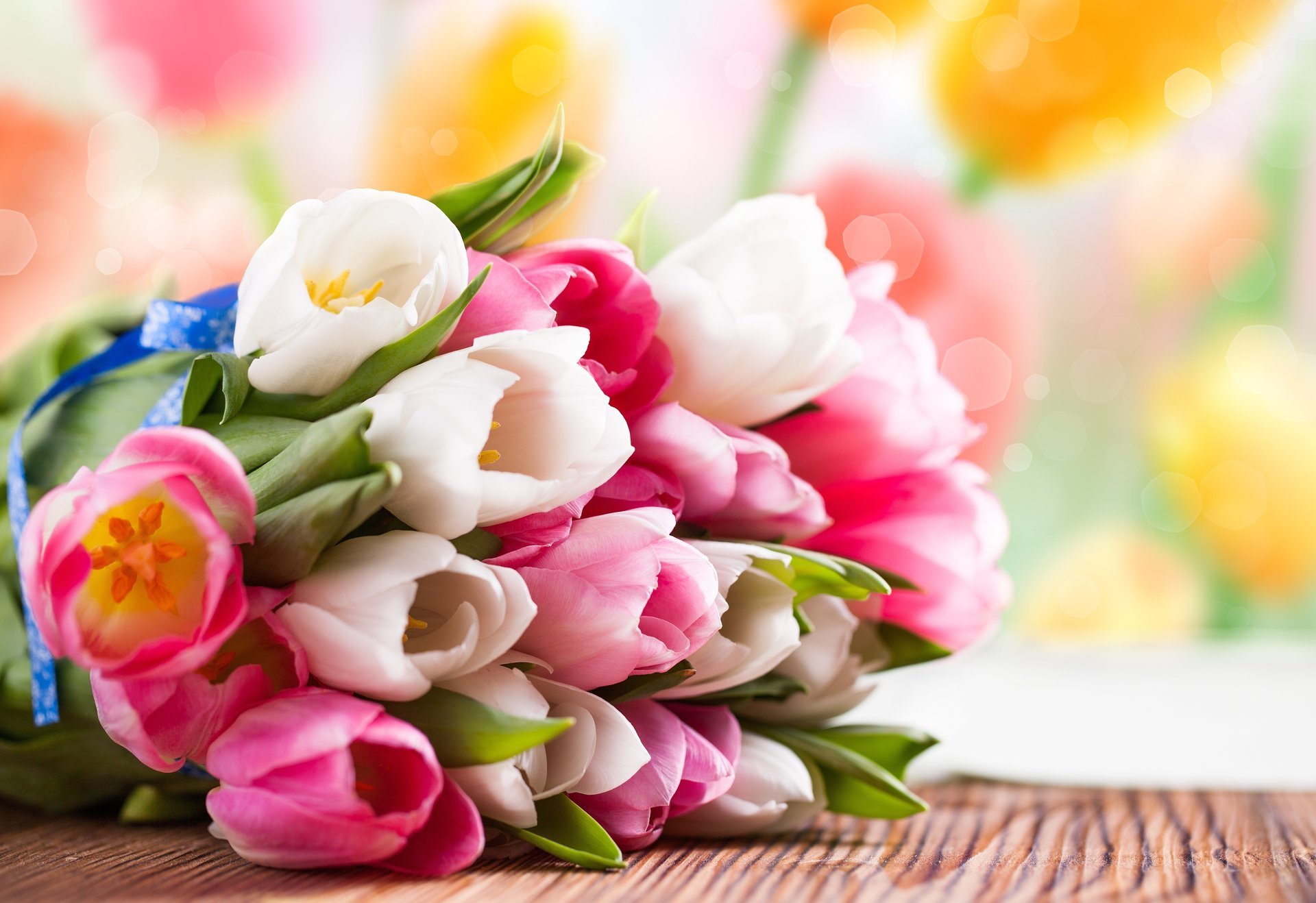 flowers tulips bouquet white pink spring