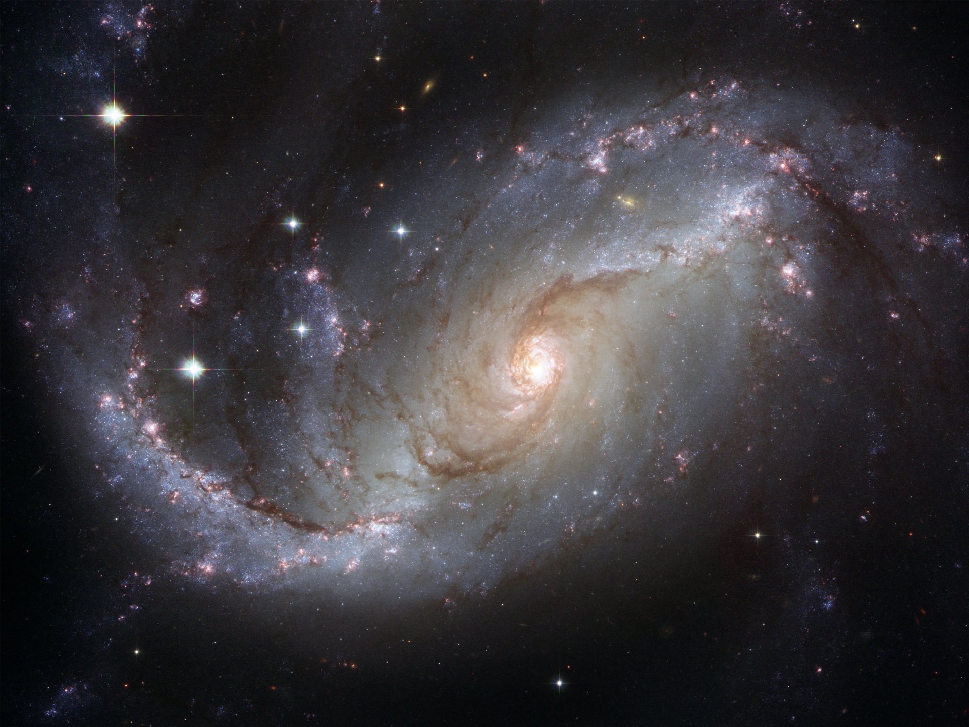 ngc 1672 galassia costellazione pesce d oro