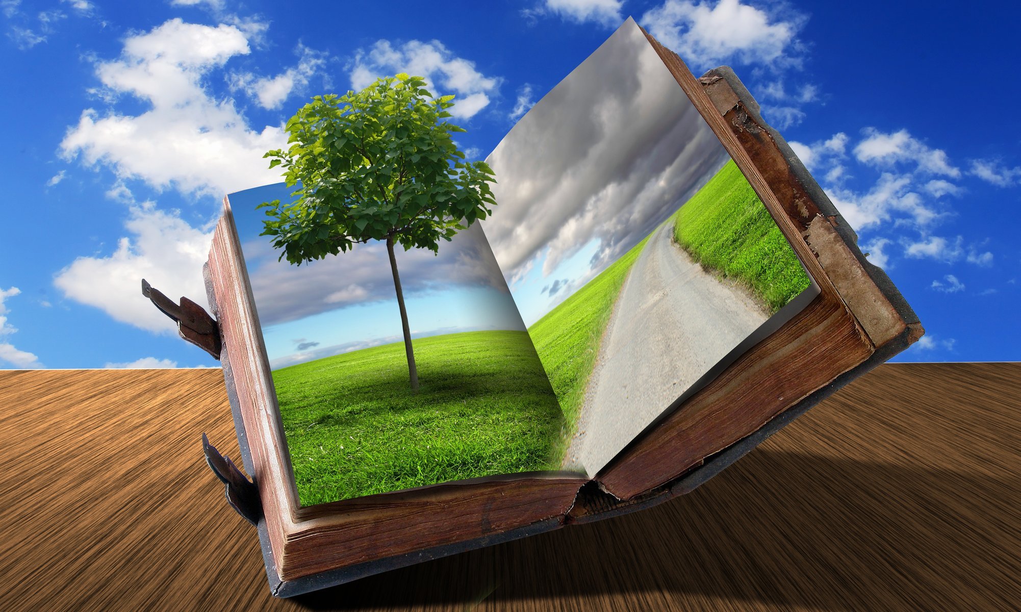 creativo libro camino nubes árbol hierba