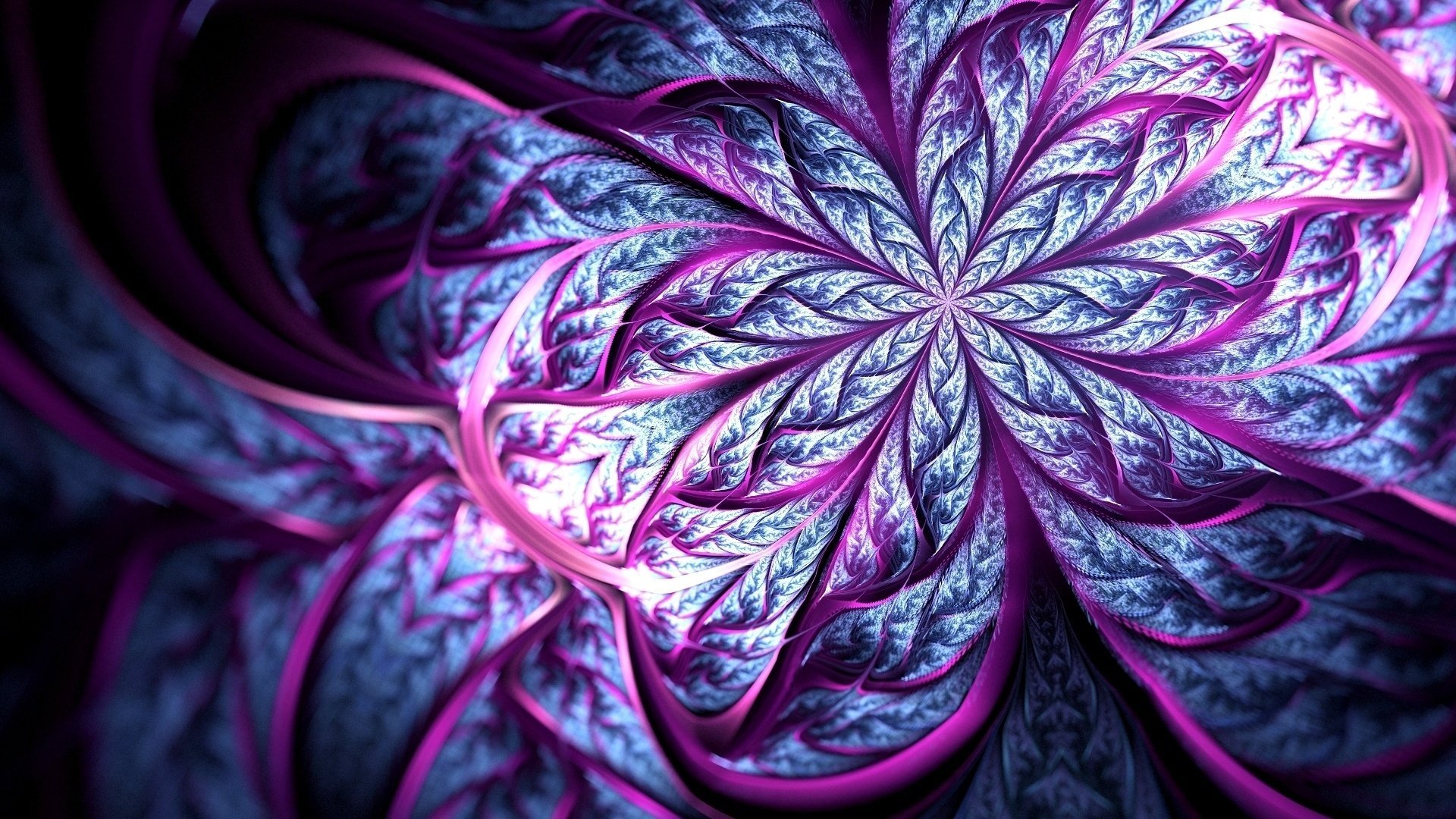 desenfoque arte flor líneas pétalos