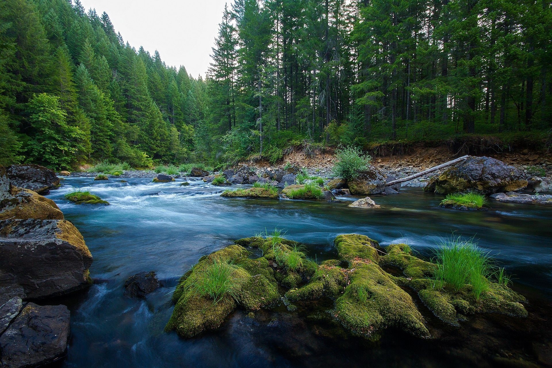 paysage forêt roches rivière