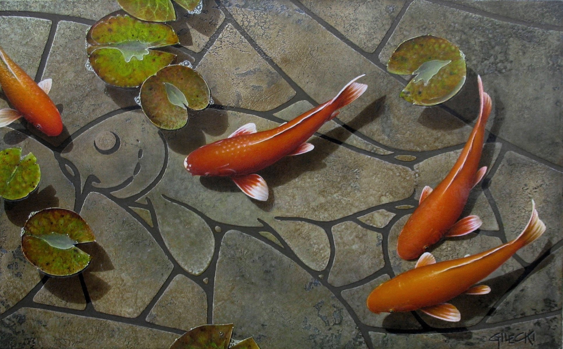 karp koi ryba rysunek