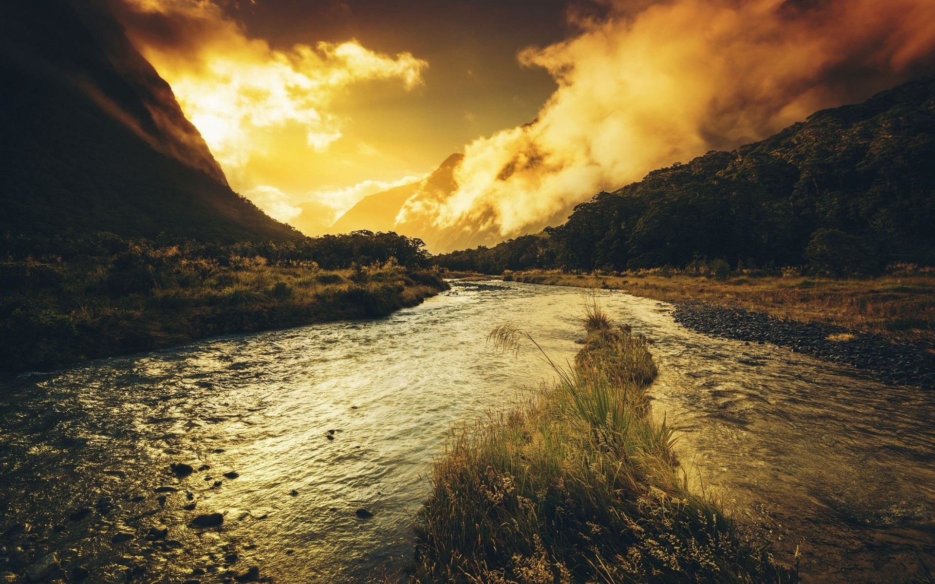 paysages nature cri