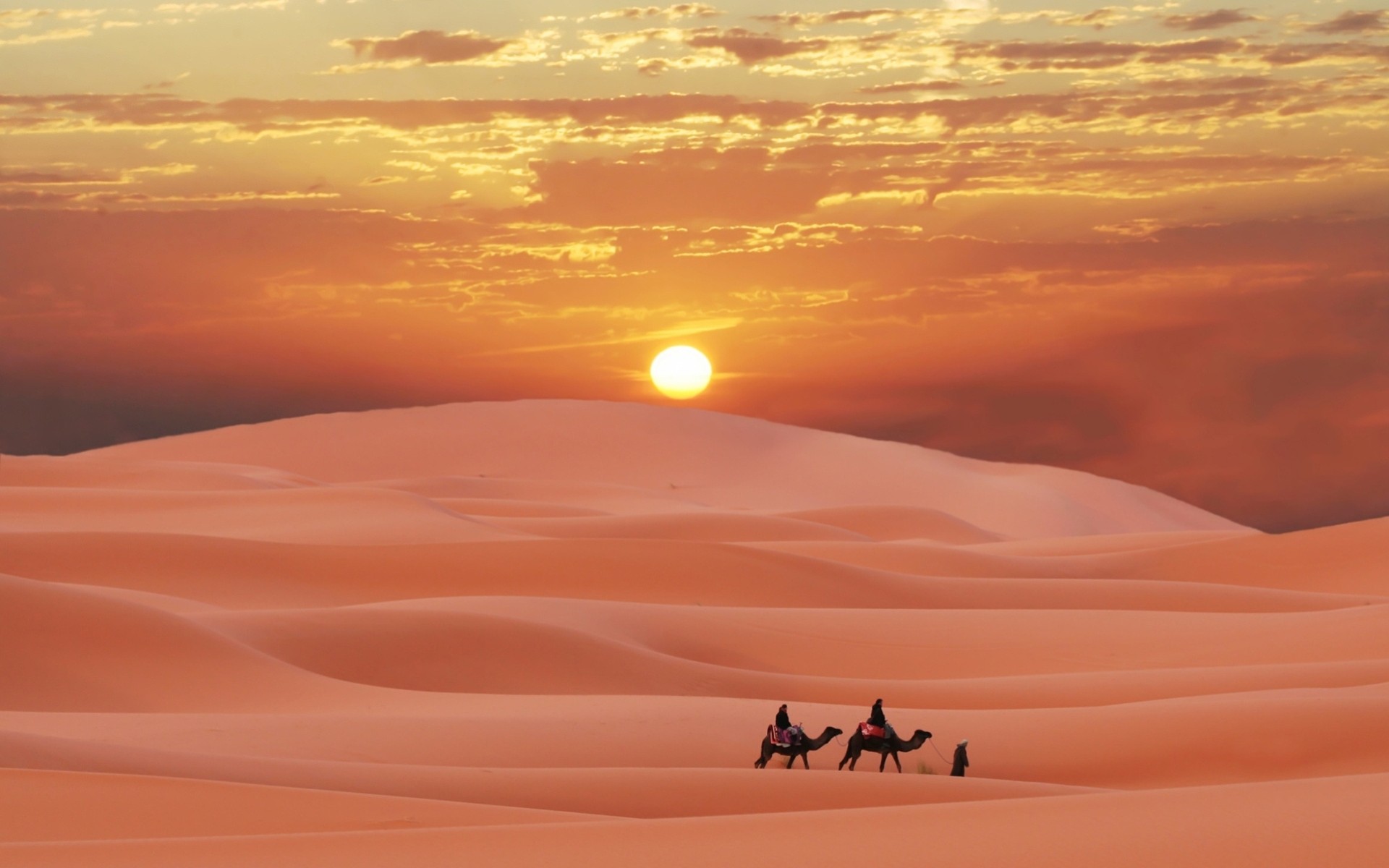sabbia sole deserto cammelli persone