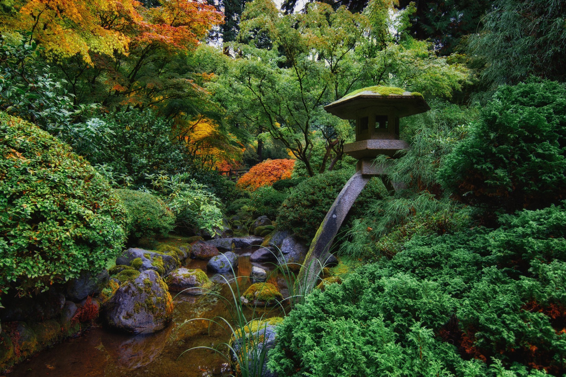 piedras paisaje árboles portland río jardín japonés