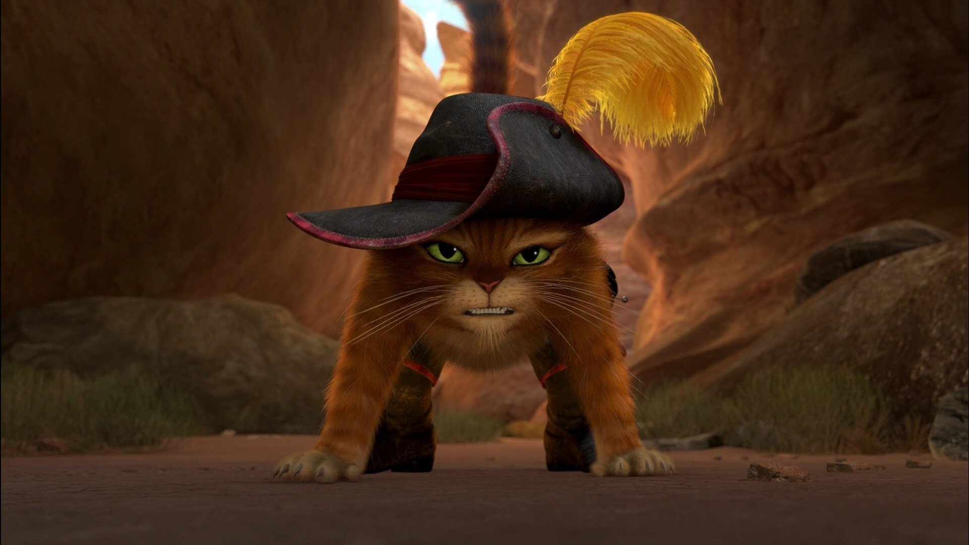 gato con botas puss in boots dibujos animados