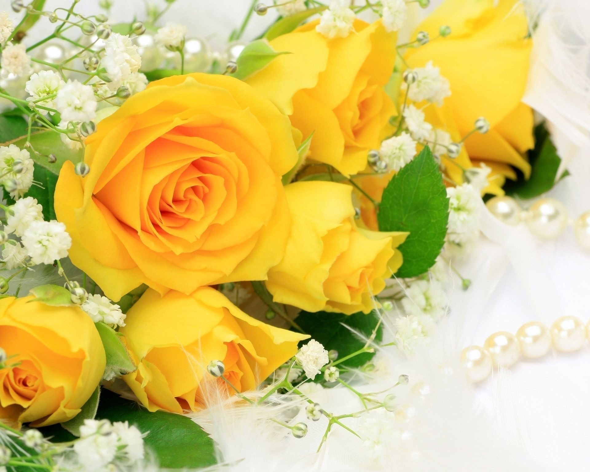 flores rosas ramo flor amarillo hermoso