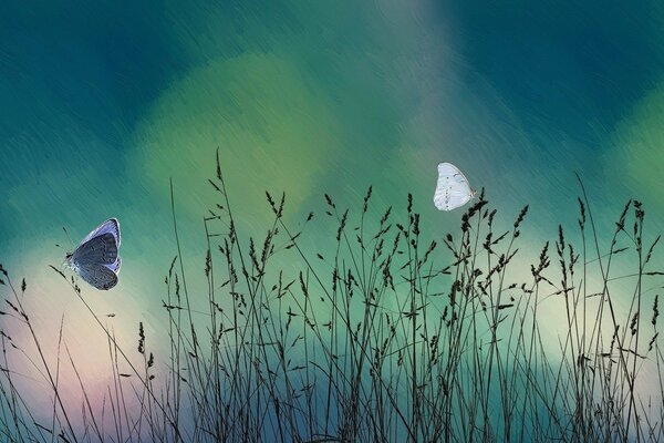 Painting a butterfly on a grass background