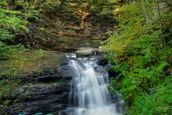 Wasserfall zwischen Felsen mit Bäumen