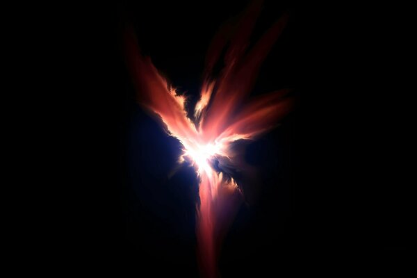 The outline of a phoenix on a dark background