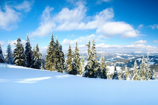 Winter landscape on a blue sky background