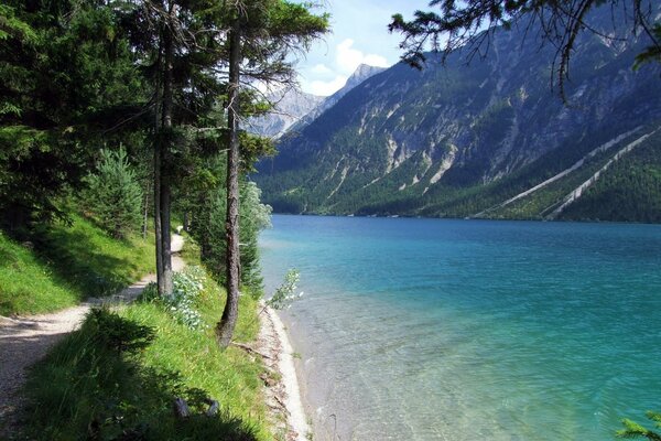 Blauer See im Wald in den Bergen