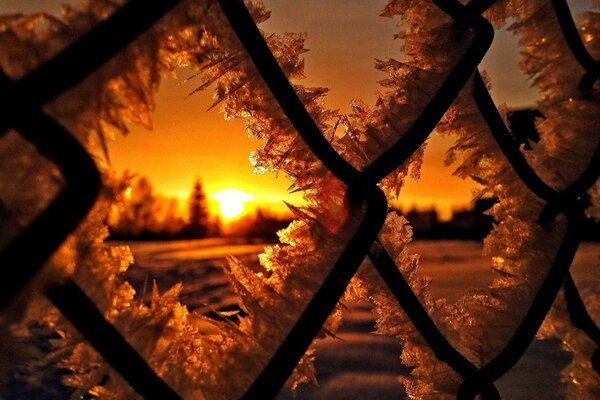 Tramonto invernale. Griglia di gelo