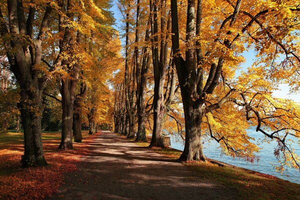 Parc d automne au bord du lac