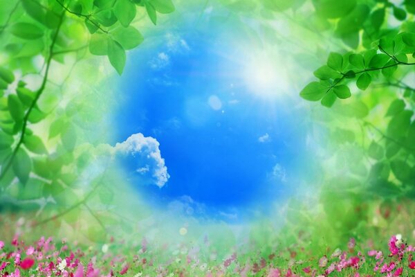 Nature lumineuse. Feuilles et herbe