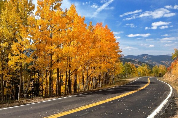 Bergstraße zwischen den Bäumen im Herbst