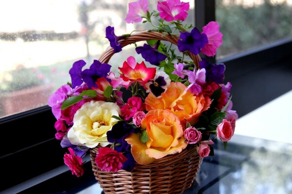 Composizione dei fiori di rosa petunia viole del pensiero