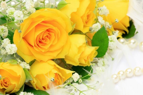 Beau bouquet de roses jaunes