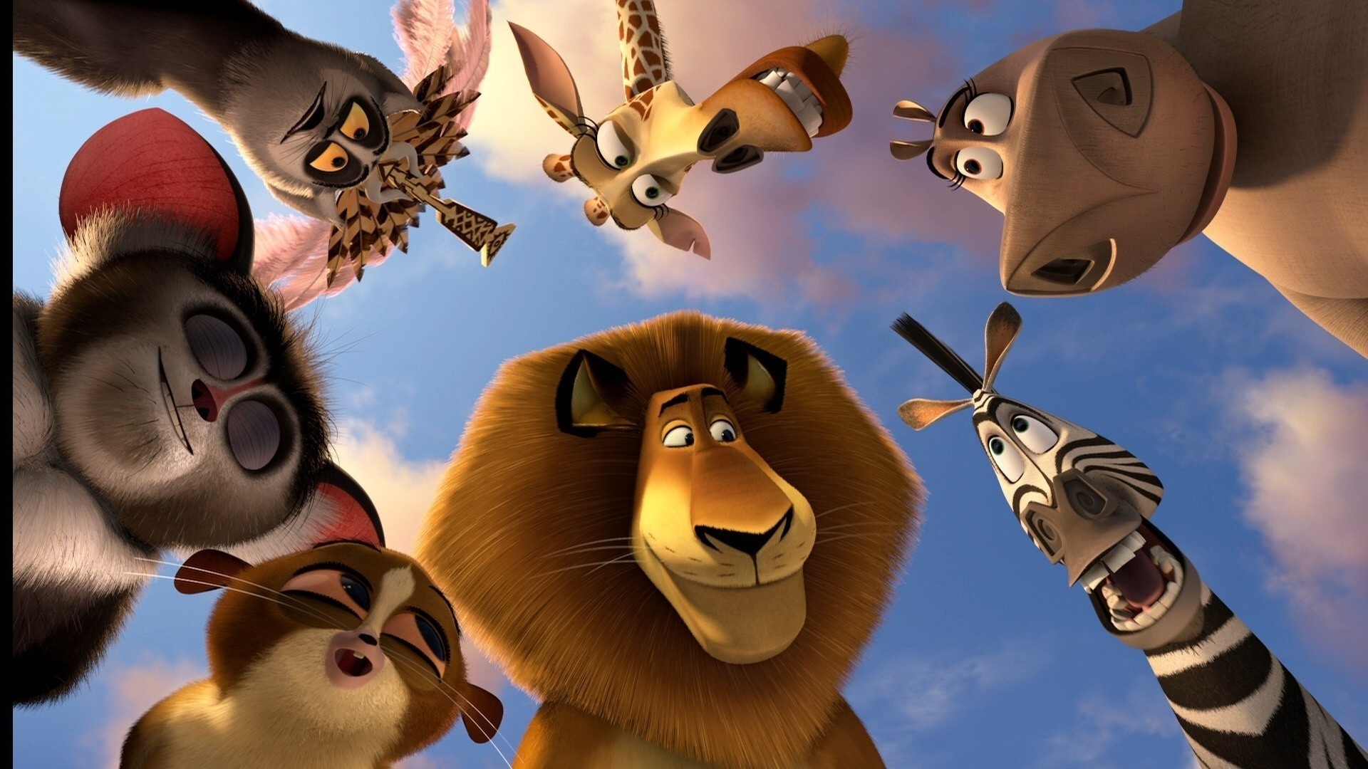 madagascar 3 cartoon animals alex the lion